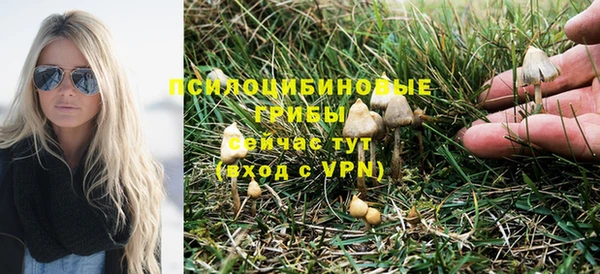 PSILOCYBIN Белокуриха